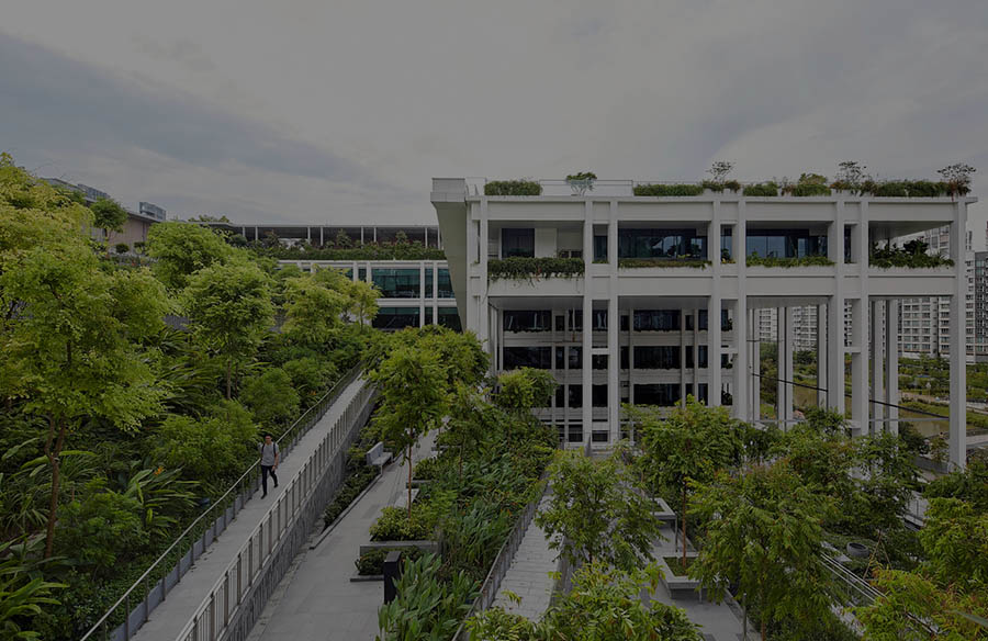 Oasis terraces by Serie Architects – Kapil Gupta and Christopher Lee A sense of openness